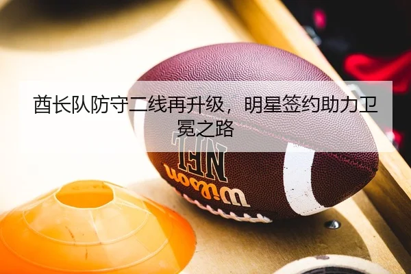 酋长队防守二线再升级，明星签约助力卫冕之路
