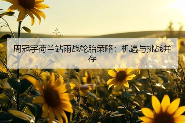 zhou-guan-yu-he-lan-zhan-yu-zhan-lun-tai-ce-lve-ji-yu-yu-tiao-zhan-bing-cun-2-554.jpg