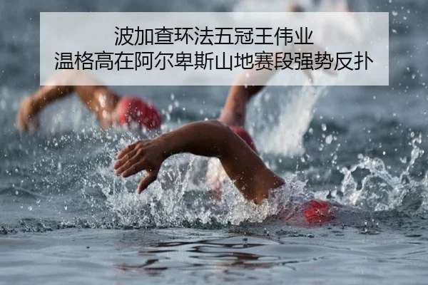 bo-jia-cha-huan-fa-wu-guan-wang-wei-ye-wen-ge-gao-zai-a-er-bei-si-shan-di-sai-duan-qiang-shi-fan-pu-3-486.jpg