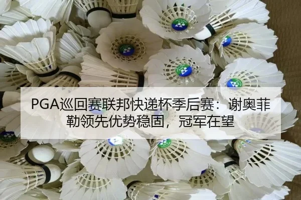 xun-hui-sai-lian-bang-kuai-di-bei-ji-hou-sai-xie-ao-fei-lei-ling-xian-you-shi-wen-gu-guan-jun-zai-wang-2-711.jpg