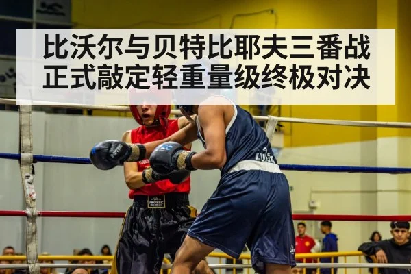 比沃尔与贝特比耶夫三番战正式敲定轻重量级终极对决