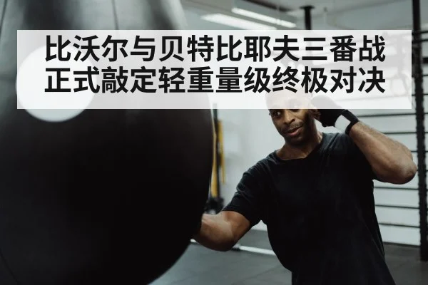 boxer punching heavy bag
